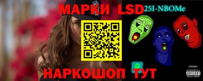 гашик Кингисепп