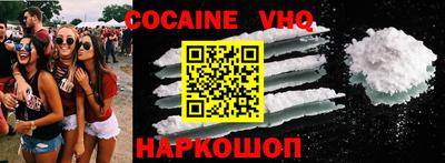 гашик Кингисепп