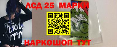 гашик Кингисепп