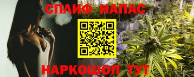 прущие грибы Коммунар
