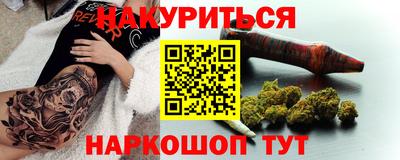 гашик Кингисепп