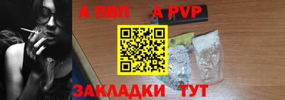 гашик Кингисепп