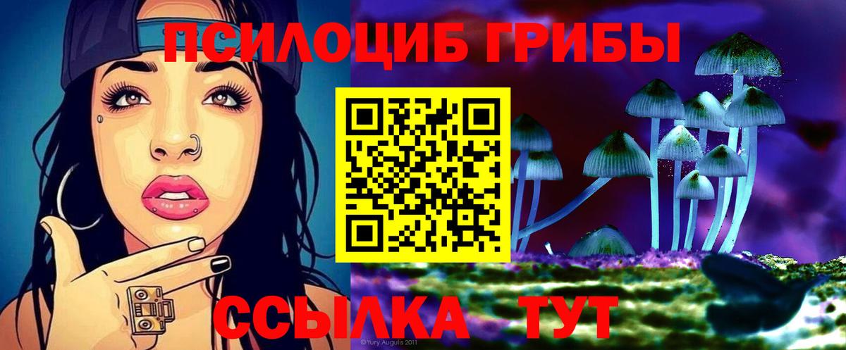 Галлюциногенные грибы Cubensis  Вход с VPN  Псилоцибиновые грибы прущие грибы  Корсаков 